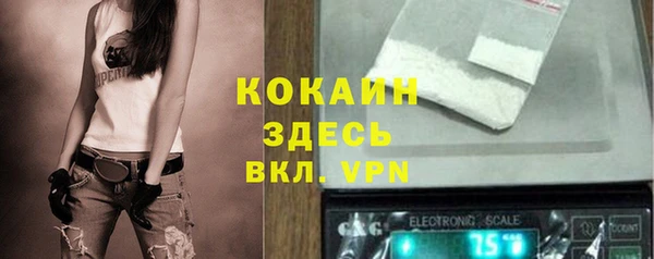 стаф Белоозёрский