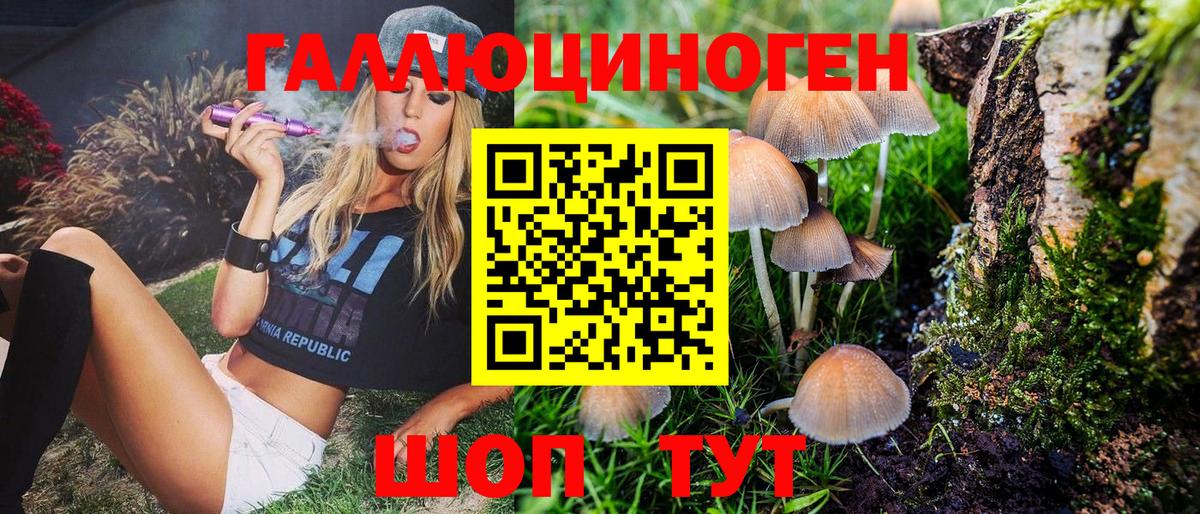 Псилоцибиновые грибы MAGIC MUSHROOMS  Вход с VPN  Сердобск 