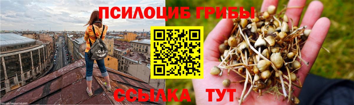 Галлюциногенные грибы мухоморы Сердобск